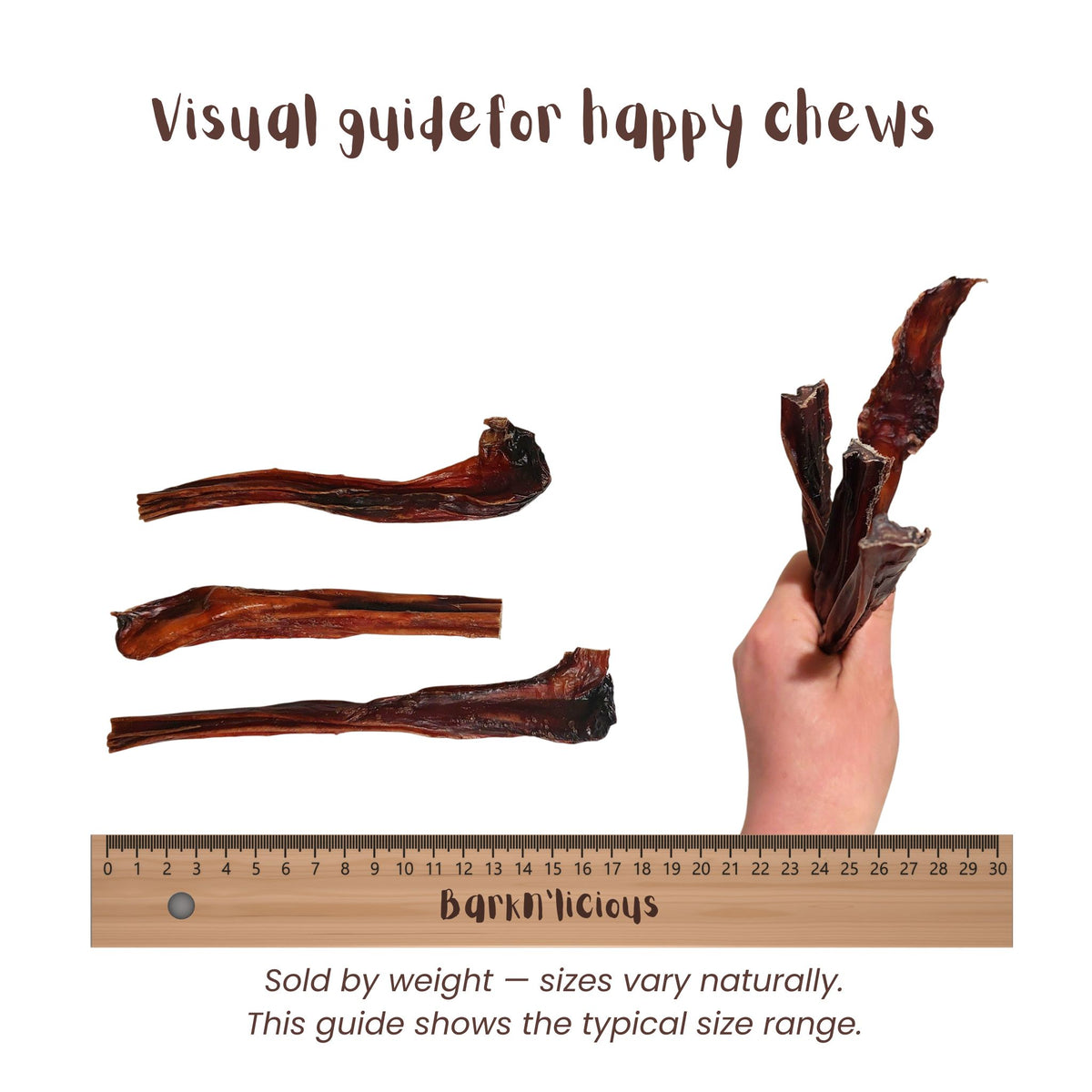 Beef Bully Stick - Regular
