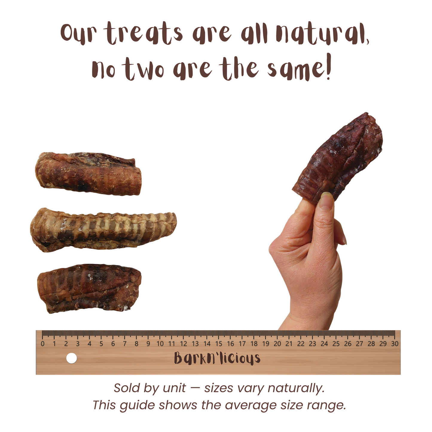 Beef Trachea - all natural, single ingredient healthy dog treat