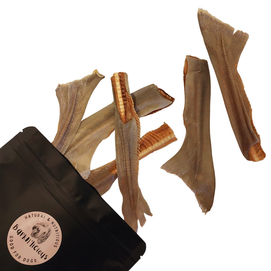Best all natural healthy air dried dog treats shark tail dental chews puppy treats omega health