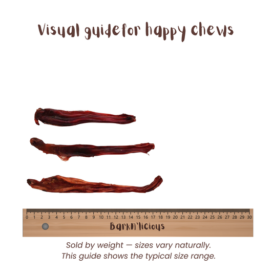 Healthy natural bully stick treat for dogs regular size measurement