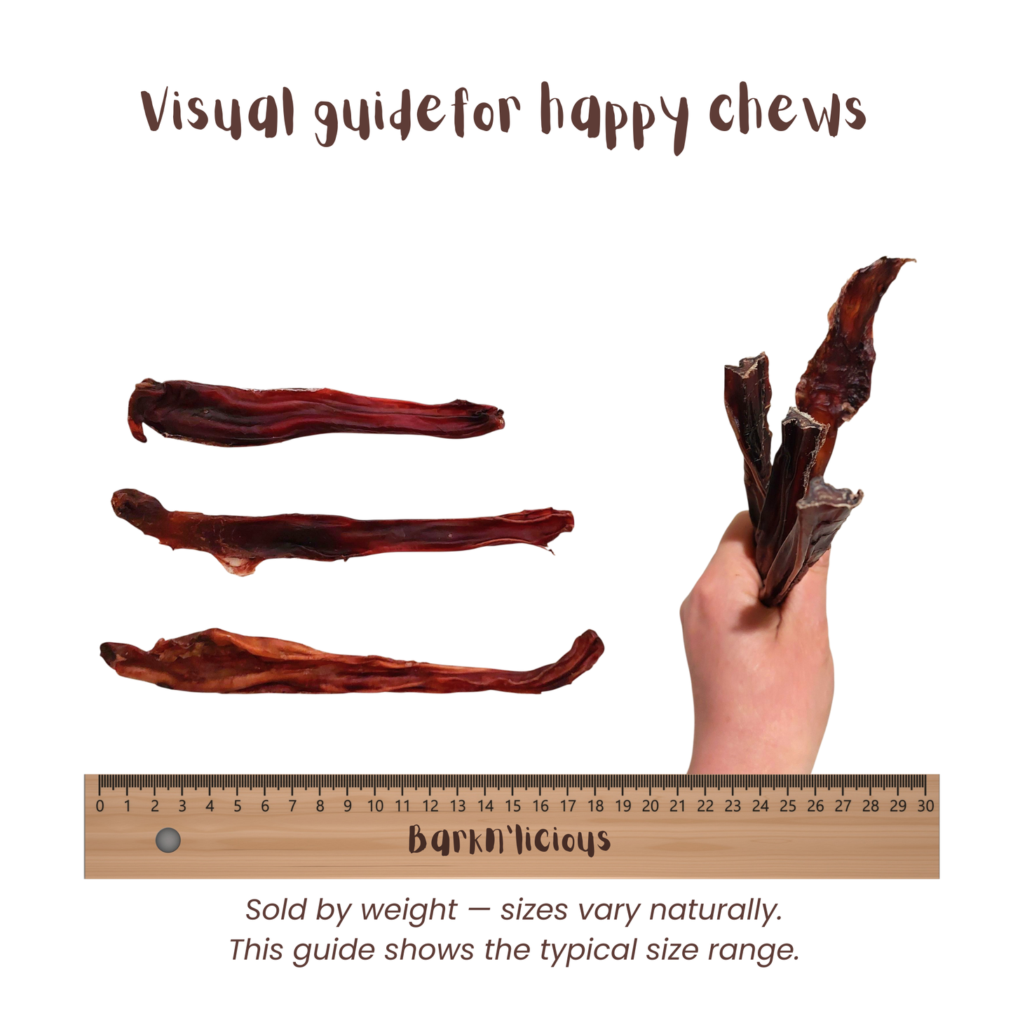 Healthy natural bully stick treat for dogs regular size measurement
