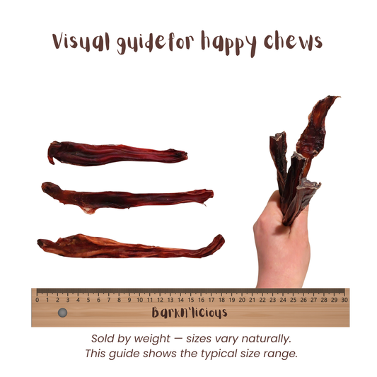 Healthy natural bully stick treat for dogs regular size measurement