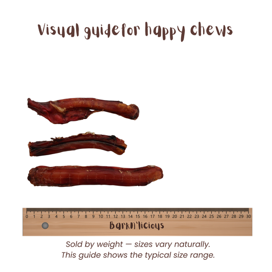 Healthy natural bully stick treat for dogs thick size measurement