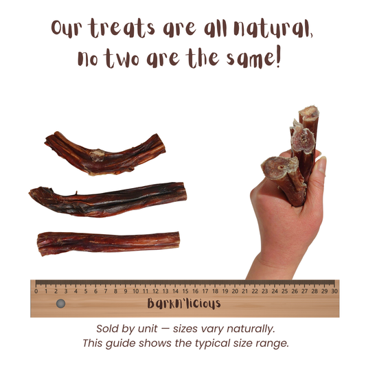 Healthy natural bully stick treat for dogs thick size measurement