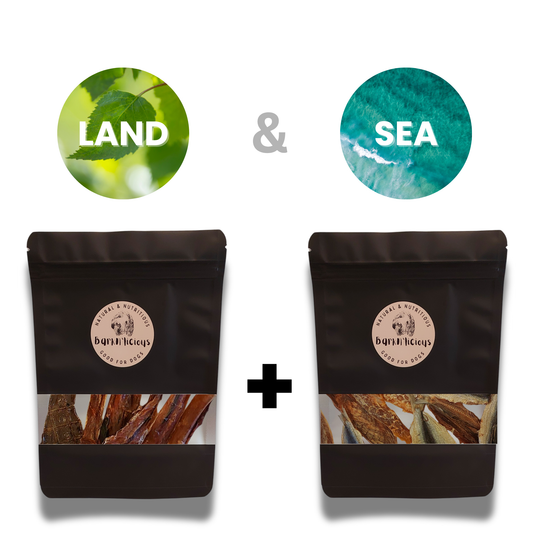 Best all natural air dried healthy dog treats starter pack land & sea treats for dogs bundle, dental chews, omega boost