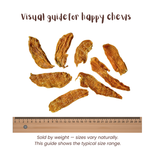 Chicken Jerky - all natural, single ingredient healthy dog treat