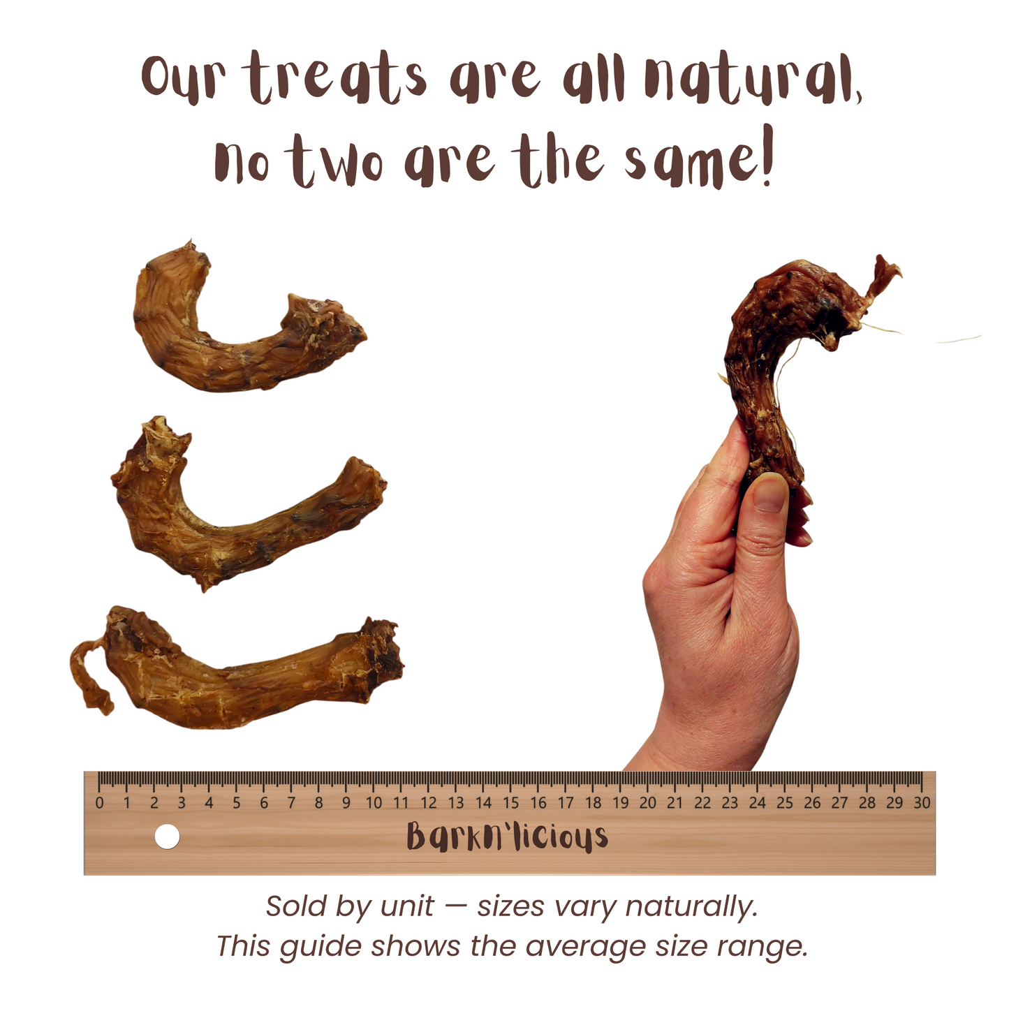 Chicken Neck - all natural, single ingredient healthy dog treat