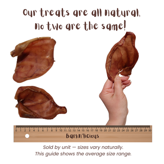 Pork Ear Single Ingredient Dental Chew For Dogs