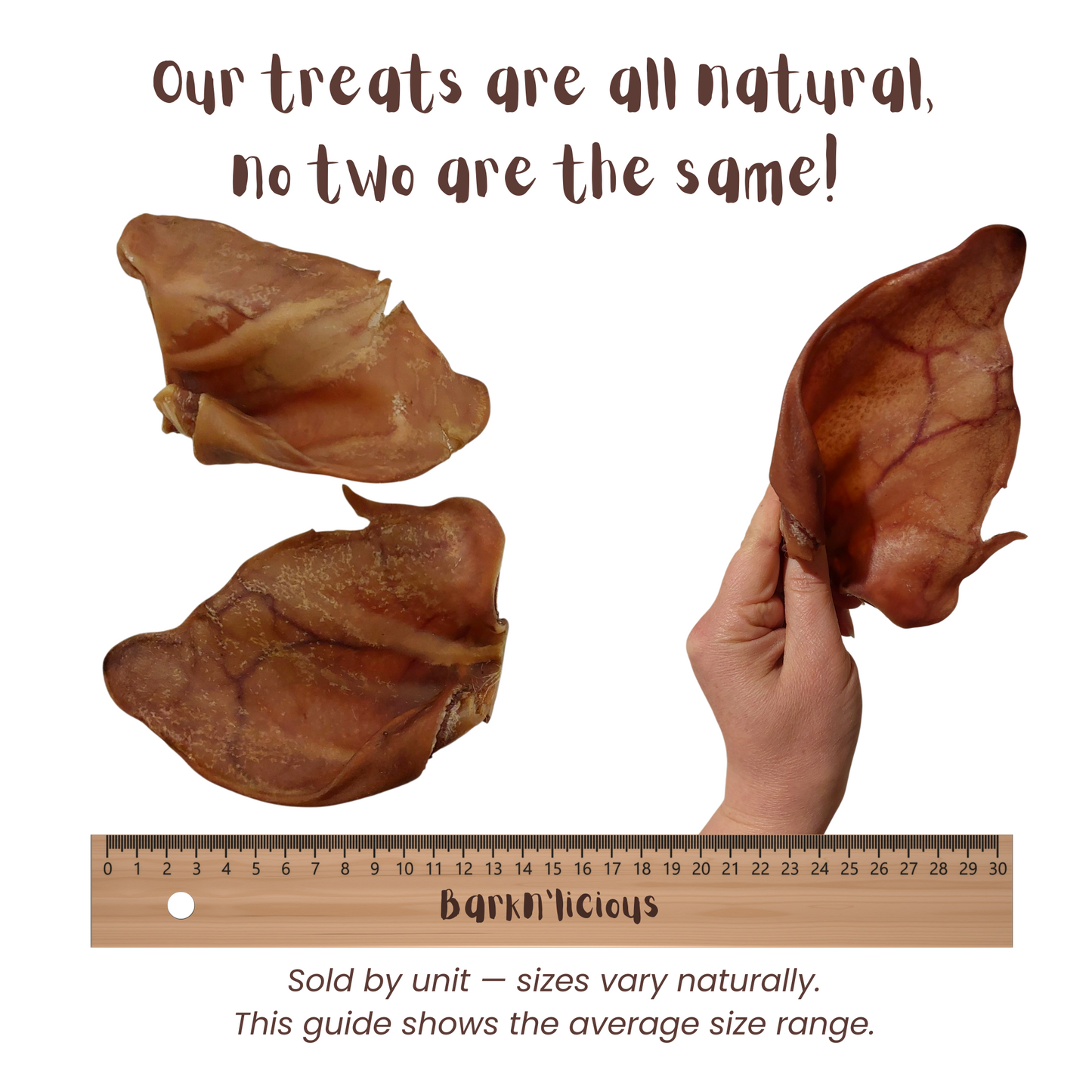 Pig Ear - all natural, single ingredient healthy dog treat