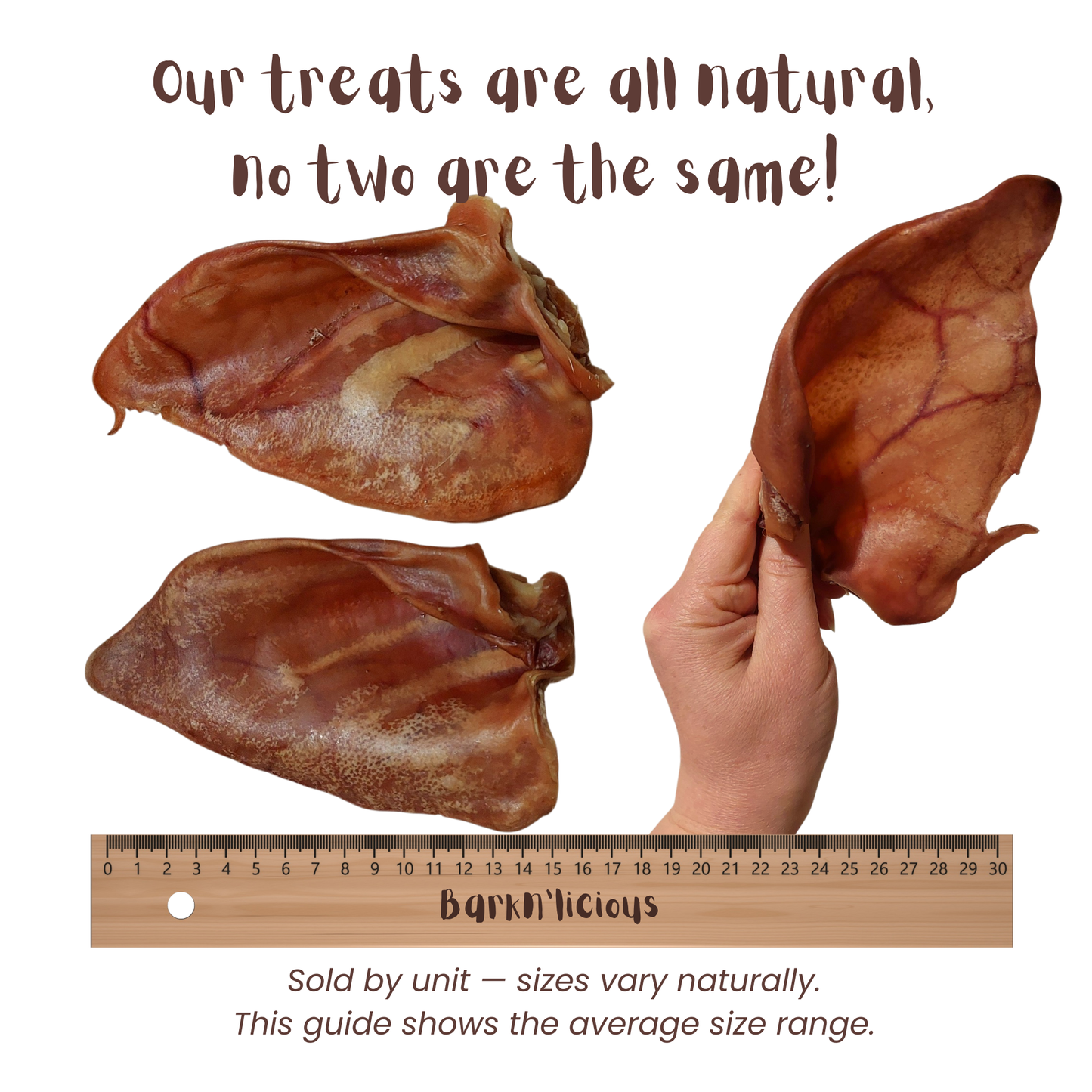 Pig Ear - all natural, single ingredient healthy dog treat