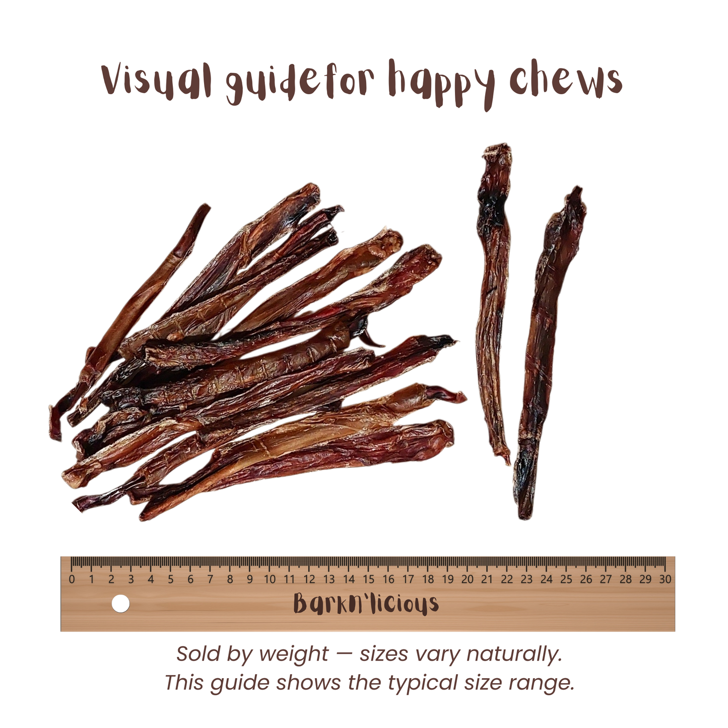 Pig Pizzle - all natural, single ingredient healthy dog treat