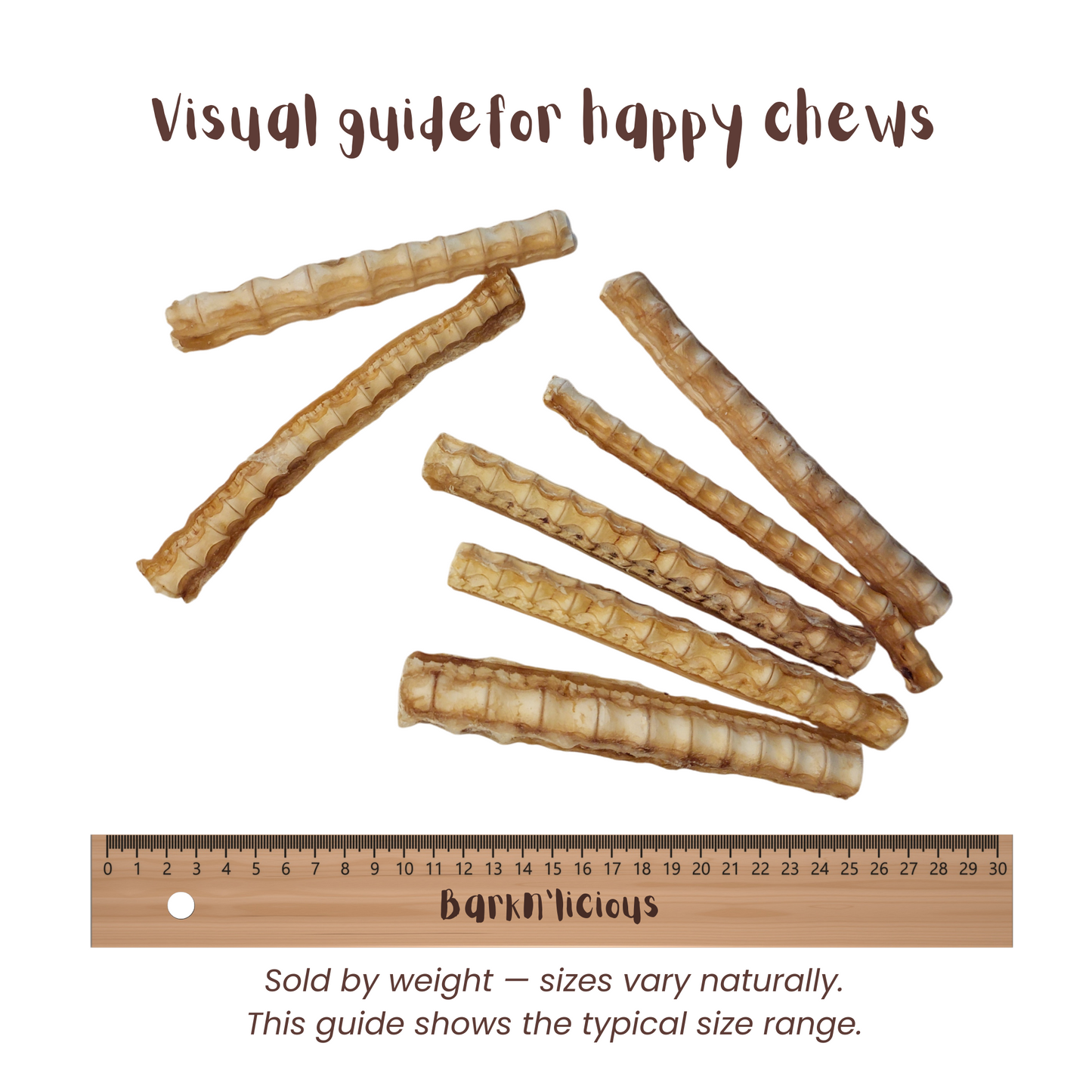 Shark Cartilage - all natural, single ingredient healthy dog treat