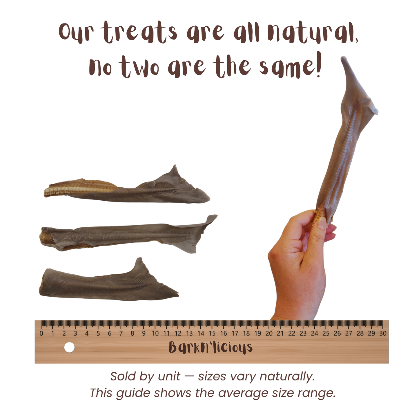 Shark Tail - all natural, single ingredient healthy dog treat