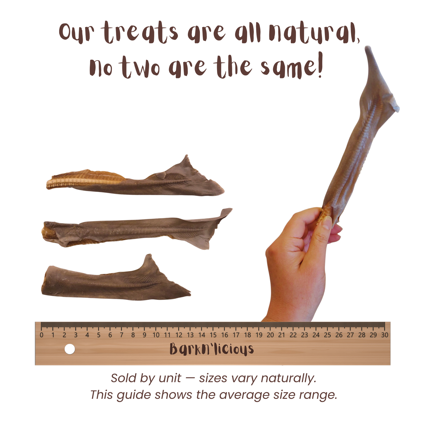 Shark Tail - all natural, single ingredient healthy dog treat
