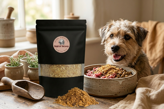 The Ultimate Guide to Dog Meal Toppers: Benefits, Nutrition & How to Choose the Right One