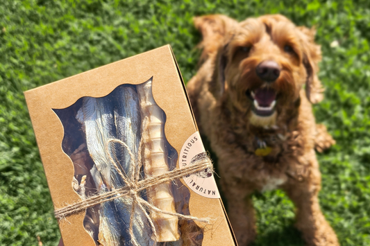 Natural Dog Treats Melbourne: Where to Buy Healthy, Air-Dried Treats