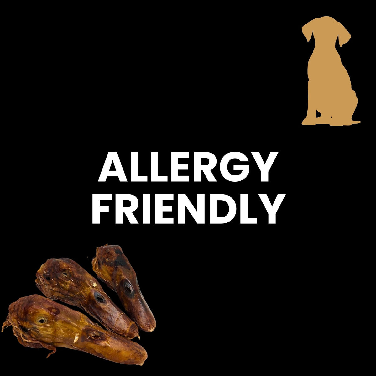 Allergy Friendly Treats