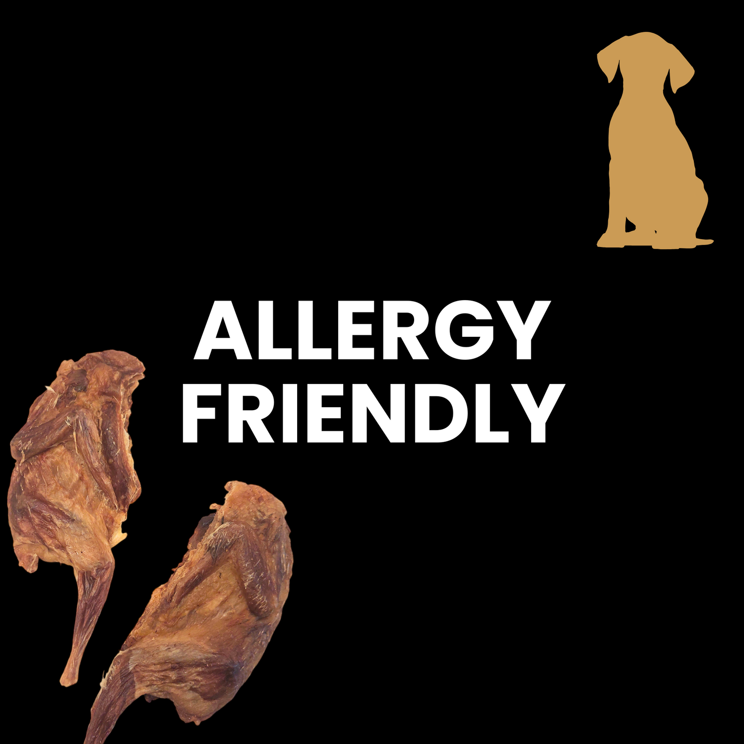 Allergy Friendly Treats