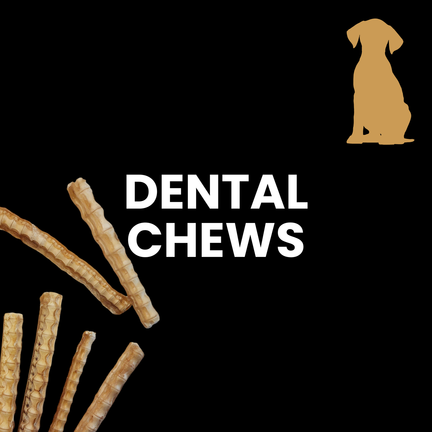 Dental Chews