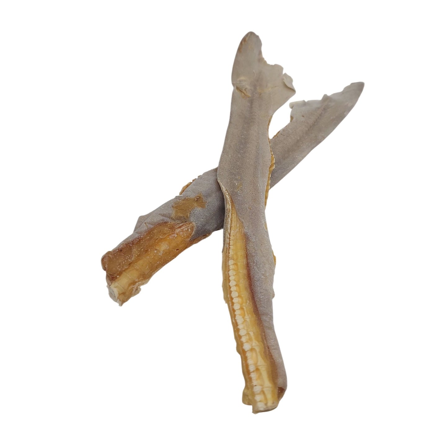Power Chew Bundle