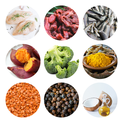 Healthy Ingredients With Benefits Meal Topper For Dogs