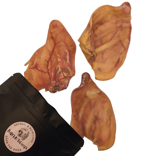 Pig Ear - Jumbo