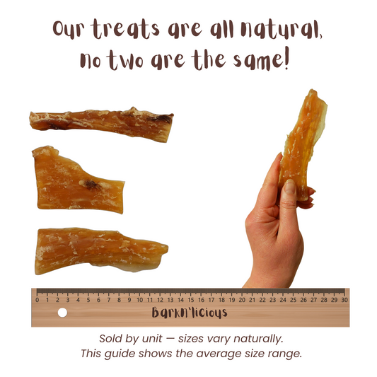 Beef Tendon - all natural, single ingredient healthy dog treat