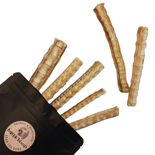 Best all natural healthy air dried dog treats shark cartilage dental chews puppy treats omega health