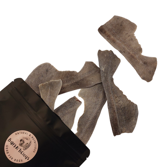 Best all natural healthy air dried dog treats shark tail dental chews puppy treats omega health