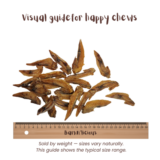Chicken Wing Tip - all natural, single ingredient healthy dog treat