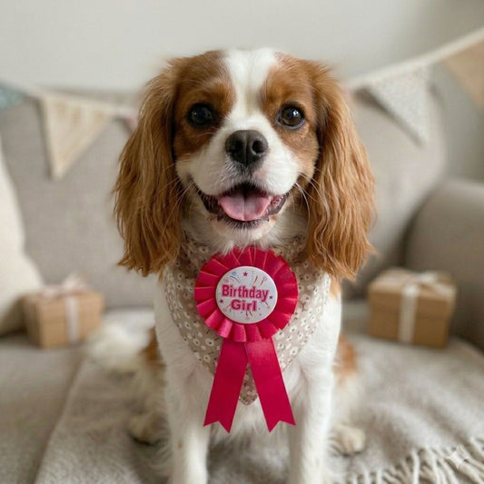Birthday Badge - Pink