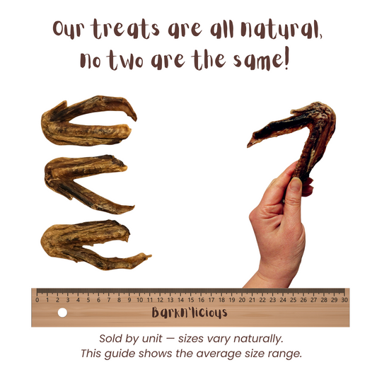 Duck Wing - all natural, single ingredient healthy dog treat