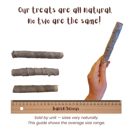 Gummy Chew - all natural, single ingredient healthy dog treat