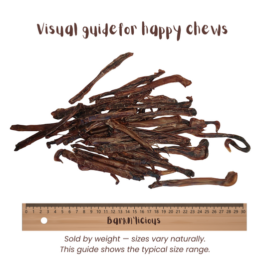 Pig Pizzle - all natural, single ingredient healthy dog treat