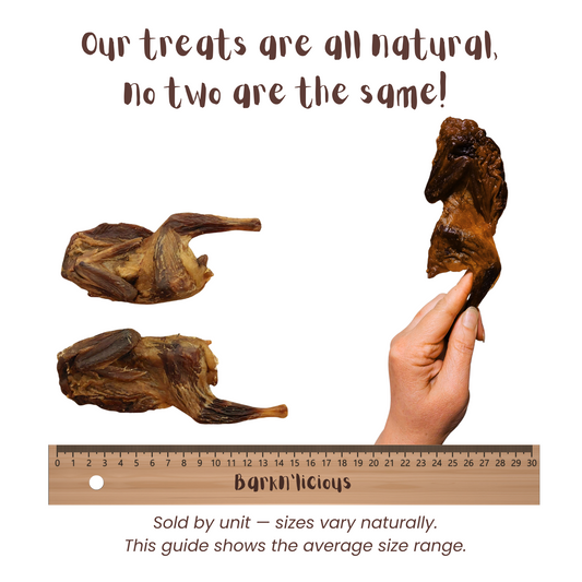 Quail - all natural, single ingredient healthy dog treat