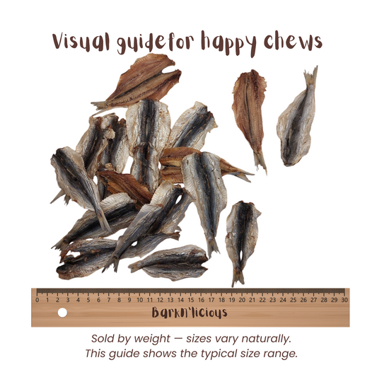 Sardine – - all natural, single ingredient healthy dog treat