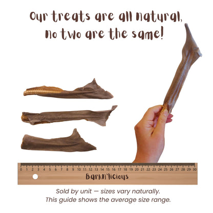 Air Dried Gummy Shark Tail For Dogs Size Guide - Barkn'licious Dog Treats