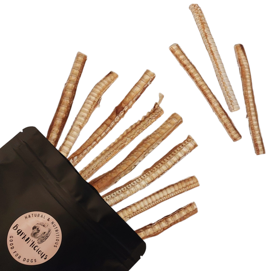 Barknlicious Dog Treats Thin Shark Cartilage Dental Chew For puppies